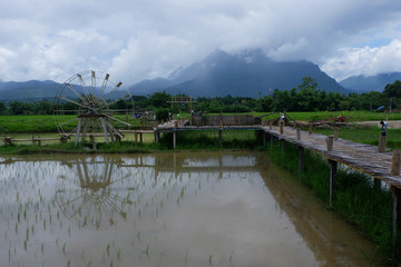 Asian house in Southeast Asia.