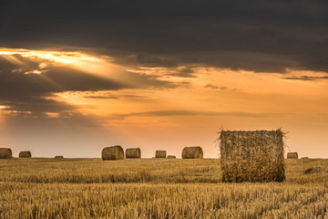 A field of hay bale at sunset with beautiful golden light and clouds