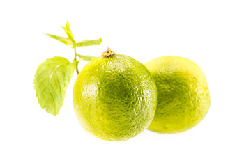 limes and mint leaves