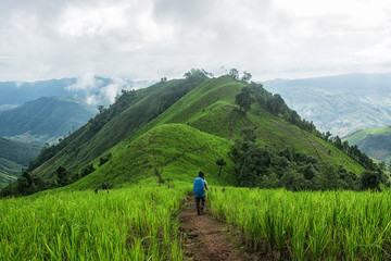 Naklejka premium Tourists walking along the mountain on October 01,2016 in Nan,Thailand.