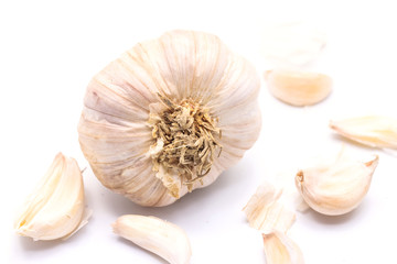 Fresh garlic on white background