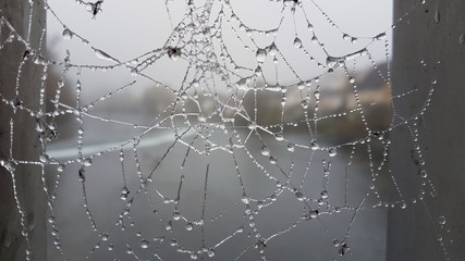 Frozen Net - Steyr - Austria