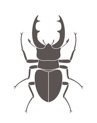 Beetle deer. Hercules beetle