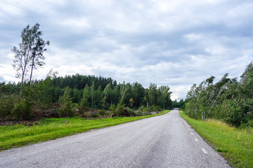 Fototapeta premium Broken trees after heavy storm