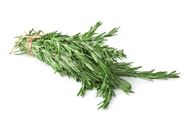 Fresh rosemary on white background