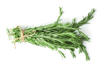 Fresh rosemary on white background