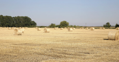 Fototapeta premium Straw on the fields photo