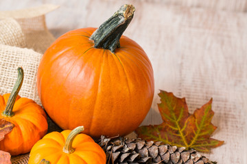 Colorful Fall Leaves With Pumpkins and Pine Cones