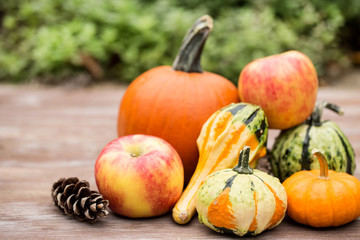 Fall Autumn Season Concept Pumpkins and Gourds and Apples