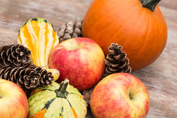 Autumn Concept Apples and Gourds and Pumpkin