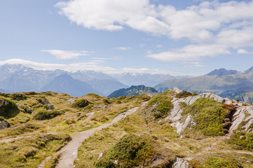 Riederalp, Aletsch, Aletschgletscher, Aletschwald, Moosfluh, Riederfurka, Wanderweg, Höhenweg, Wallis, Walliser Berge, Rhonetal, Sommer, Schweiz