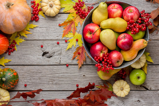 Autumn harvest and thanksgiving card background