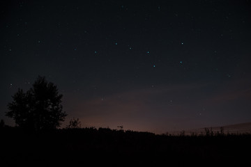 The constellation of the great bear