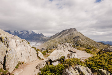 Riederalp, Bergdorf, Aletschgletscher, Gletscher, Aletsch, Bettmerhorn, Bergbahn, Wanderweg, Höhenweg, Wallis, Alpen, Sommer, Schweiz
