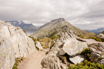 Riederalp, Bettmerhorn, Moosfluh, Bergbahn, Aletsch, Aletschgletscher, Gletscher, Wanderweg, Gratweg, Moränenweg, Alpen, Wallis, Sommer, Schweiz