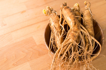 Korean ginseng