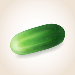 Cucumber vegetable isolated Vector illustration