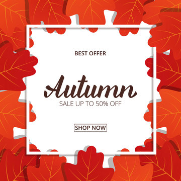 Autumn sale. Banner with maple leaves frame and trendy Autumn brush lettering. Seasonal Fall sale card
