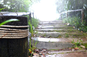 Climbing stairs morning mist fog in Thailand