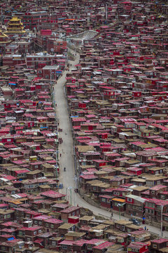The Larung Gar Buddhist Academy