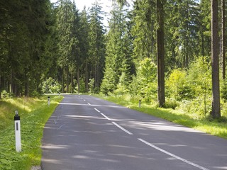 Idyllische Landstraße schlängelt sich durch den Wald