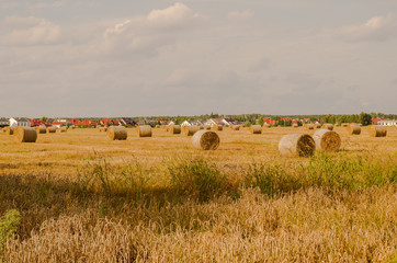 Pole lato słoma siano // Summer field at the countryside © Małgorzata