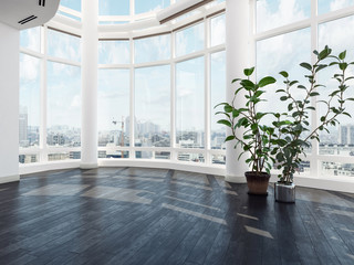 Vacant modern luxury apartment or penthouse