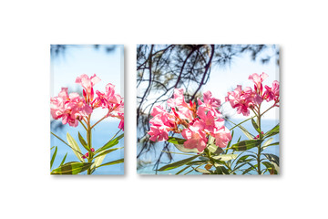 Two canvas with Ocean view  and beautiful flowers photography. Interior decor mock up 