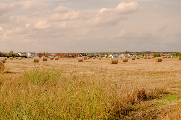 Pole, lato, słoma, siano // Summer field at the countryside © Małgorzata