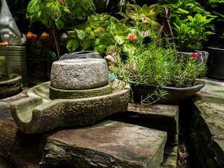 Ancient millstone have green lichen around and Ancient millstone put on old wooden boards. Behind the back green trees.