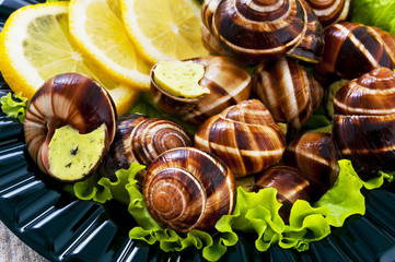 Snails with slices of lemon and greens on a plate. French dish