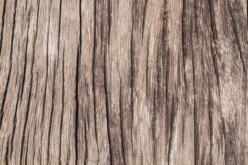 Pattern on wood surface