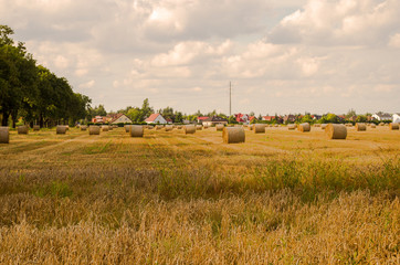 Pole, siano, słoma, lato // Summer field at the countryside © Małgorzata
