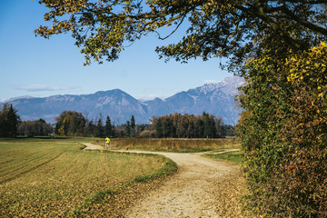 Running on rural road in the fall.