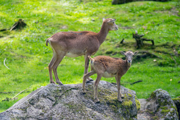 Natural park in Oslo