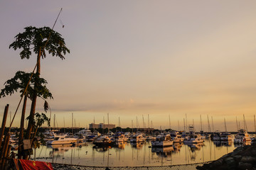 Docked yachts on Manila Bay in Philippines