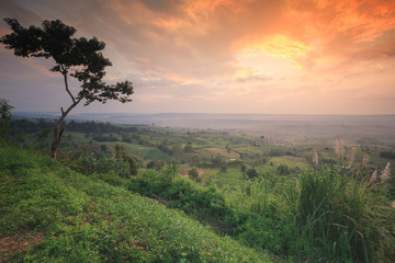 landscape of grassfield and sky during sunset