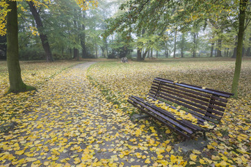 Bank, Park, Herbst