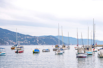 Fototapeta premium Daylight view to port full of parked boats. Santa Margherita Ligure, Italy. Cinque Terre