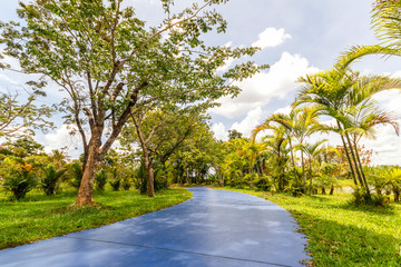 Fototapeta na wymiar Walkway in park. Landscape with jogging track at green park
