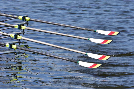 sculls