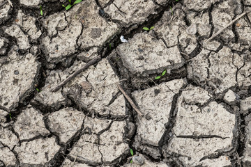 Fototapeta premium Trockener Boden