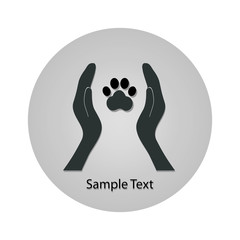 Animal dog paw in people hand5