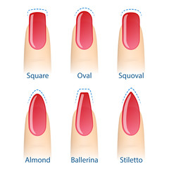 Set of nails shapes © DruZhi Art