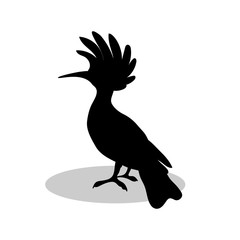 Hoopoe bird  black silhouette animal