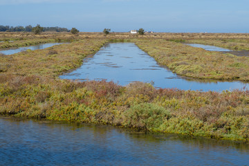 Old craft saltworks, sea water, in Chiclana de la Frontea, Cadiz, Spain