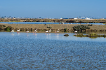 Old craft saltworks, sea water, in Chiclana de la Frontea, Cadiz, Spain