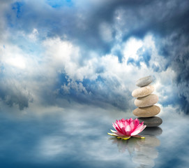 Image of stones and lotus flower on the water closeup