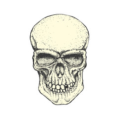 Human skull on white background. Design element for logo, label, emblem, sign. Vector illustration