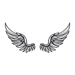 Wings isolated on white background. Design elements for logo, label, emblem, sign. Vector illustration
